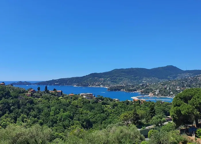 Villa Joana